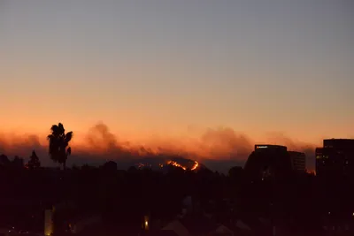 DSC_5619 (Large).JPG